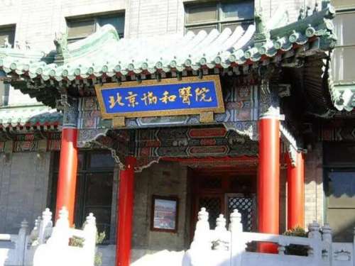 北京协和医院植发医生咋样？朱晨雨、付兰芹坐诊，脱发党必看攻略