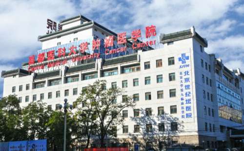 世纪坛医院光子嫩肤120天术后案例分析