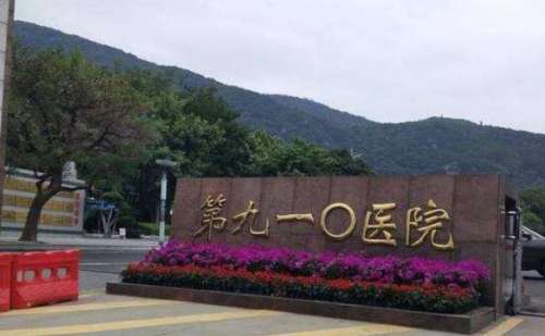 中国人民解放军联勤保障部队第九一〇医院种植牙术后120天案例分析