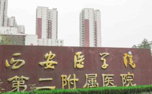 西安医学院第二附属医院洪学哲脸颊凹陷填充技术特色怎么样?术后90天案例