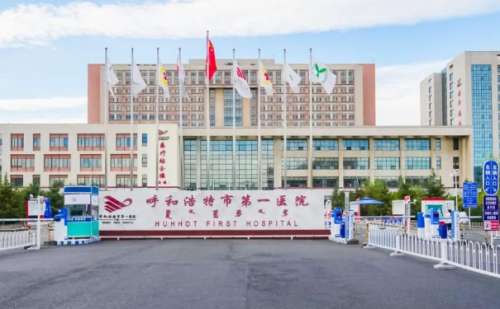 呼和浩特市第一医院吴双v脸手术提升技术亮点怎么样?术后90天案例