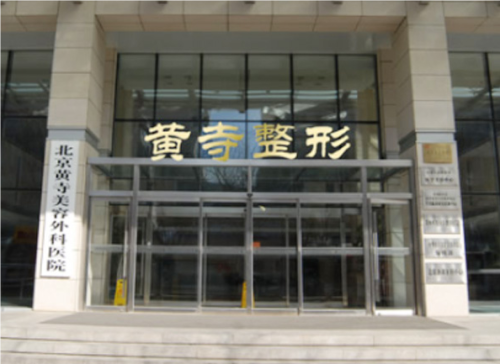 李晓东大拉皮案例分析