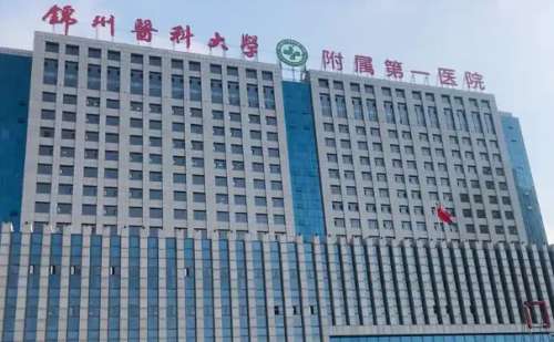 锦州医科大学附属第一医院李传宝假体隆鼻技术级别怎么样?术后半年案例