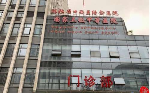 武汉市中西医结合医院金曌脸部凹陷填充90天案例|技术优势怎么样?价格表
