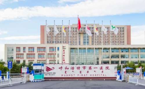 呼和浩特市第一医院吴双脂肪填充术后半年案例分析