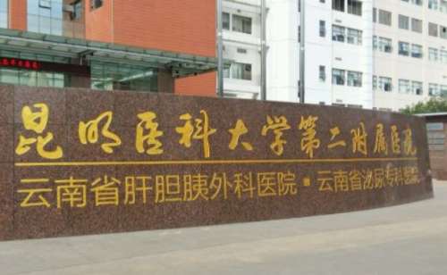 昆明医科大学第二附属医院刘垠唇部丰唇费用多少?技术点评+案例分析