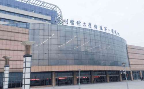 温州医科大学附属第一医院李力群丰唇手术需要多少钱?术后6个月案例,多少钱