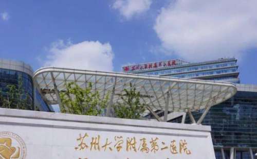 苏州大学附属第二医院陈琦丰唇珠技术怎么样?费用明细|价格明细