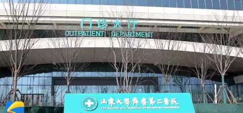山东齐鲁二院整形科挂号多少钱？普通医生vs医生价格区别大吗？