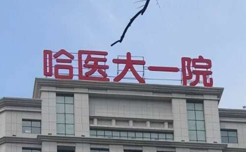 哈尔滨医科大学附属第一医院吕远东v型脸整形技术怎么样?大概在4000元-10000元