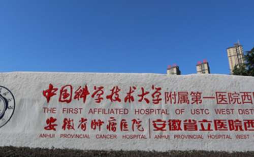 中国科学技术大学附属第一医院褚燕军厚唇整形心动案例|技术点评怎么样?收费标准