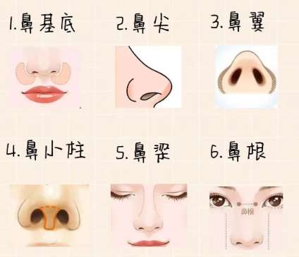 温州做鼻子一般多少钱？价格贵不贵？价格表参考！