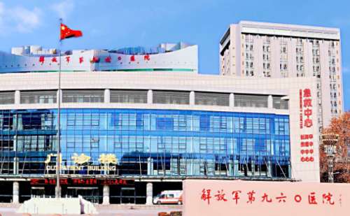 联勤保障部队第九六〇医院倪金蕾注射除皱一般多少钱?90天案例,价格分析表