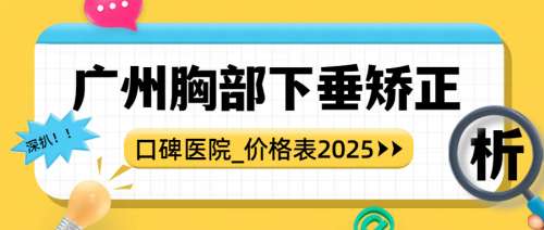 广州胸部下垂矫正多少钱？双环法2.2万元起，2026口碑医院TOP5