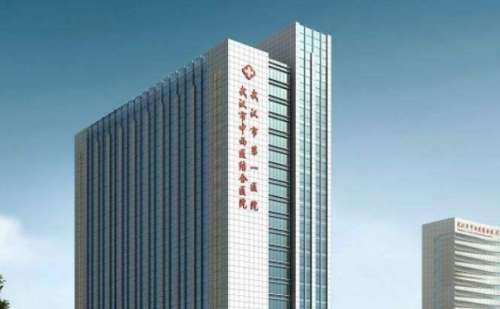 武汉市中西医结合医院汪国民脸部去皱价格分析表?实力案例,价格