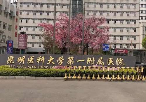 昆明注射隆鼻价格多少钱？亲测价格8k元起，昆医一附院、华美技术过硬