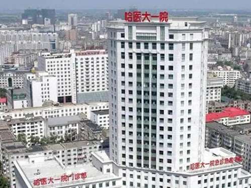 哈医大医院美容整形郝立君怎么样? 医生介绍+隆胸测评