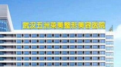 武汉五洲整形耳软骨隆鼻价格？1.2万元起，杜子高院长亲诊