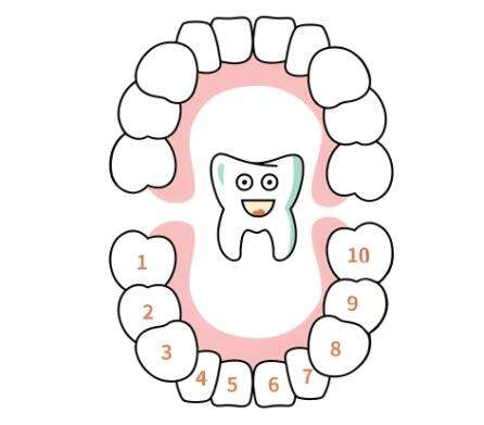 湖州种牙多少钱一颗啊？2026最新价目表，普通人也能看懂
