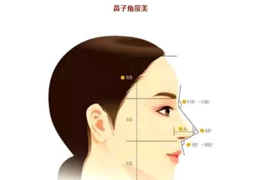 彭栋梁鼻整形多少钱？2026更新价格1万到7万元左右！附医生简介资料