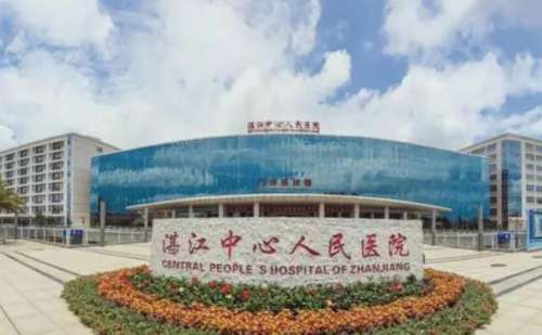 湛江中心人民医院莫林旺植发费用明细?技术等级+案例细节
