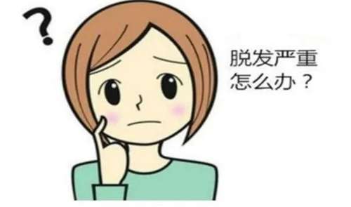 植发手术价格贵吗？术前了解价格详情