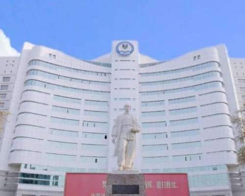 石家庄隆胸价格水平怎么样？附2025收费标准与热门医院盘点