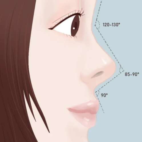 上海隆鼻费用大概多少？自体隆鼻医院哪家好？