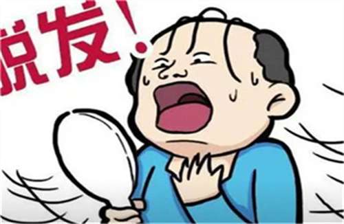 头发种植费用分析！收费细节讲解