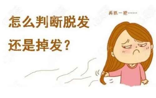 北京发际线种植价格大约多少？当前美容市场报价速览