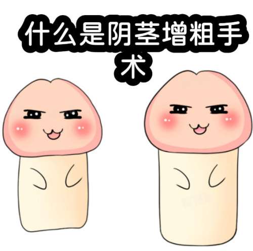 延长增粗手术可以延长时间吗？功能与手术效果解读
